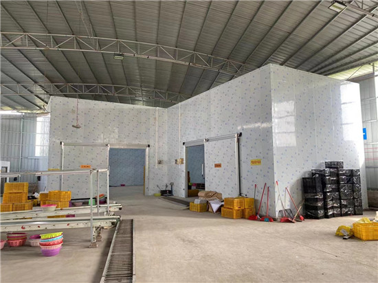 專業(yè)冷庫(kù)維修